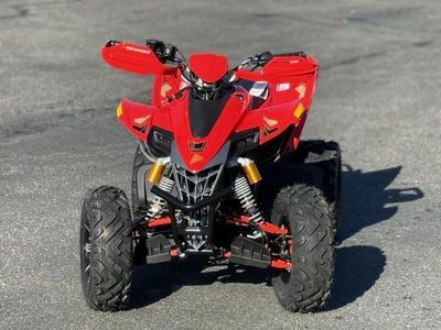 2025 Denago Powersports Daytona 250 FI - Photo 3