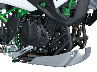 2026 Kawasaki KLE500 SE ABS - Photo 9