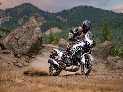2026 Kawasaki KLE500 SE ABS - Photo 17