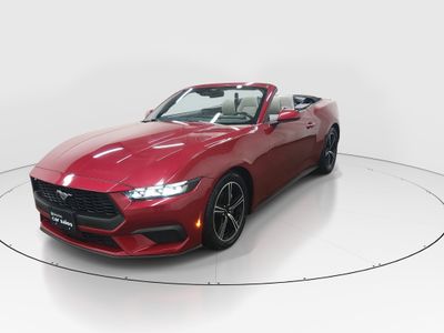 2024 Ford Mustang - Photo 3