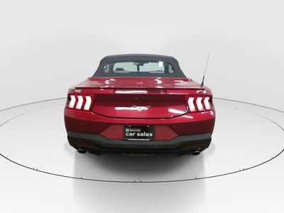 2024 Ford Mustang - Photo 6