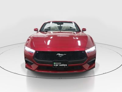 2024 Ford Mustang - Photo 2