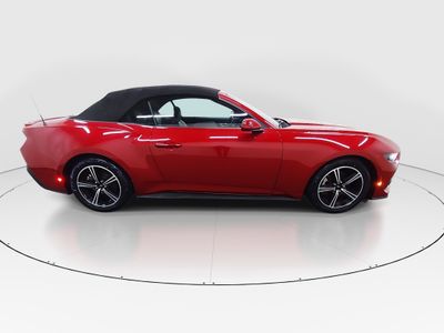 2024 Ford Mustang - Photo 8