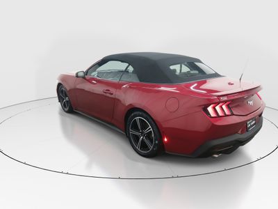 2024 Ford Mustang - Photo 5