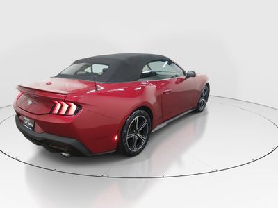 2024 Ford Mustang - Photo 7