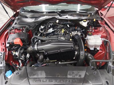 2024 Ford Mustang - Photo 9