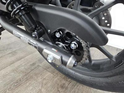 2025 Honda Rebel 300 - Photo 13