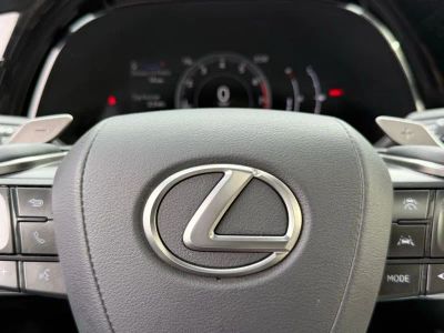 2023 Lexus RX - Photo 28