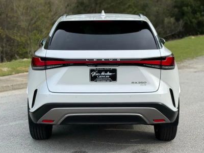 2023 Lexus RX - Photo 10