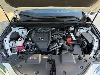 2024 Lexus NX 350 Premium - Photo 16