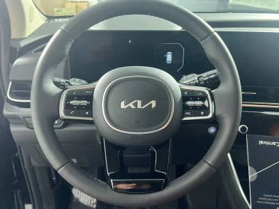 2026 Kia Carnival — photo 17 view