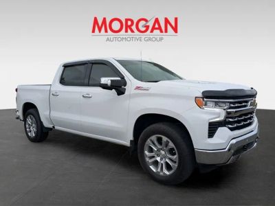 2025 Chevrolet Silverado 1500 — side profile view