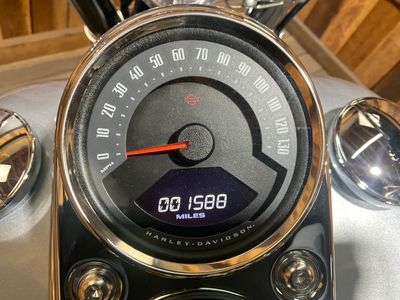 2019 Harley-Davidson Low Rider - Photo 4