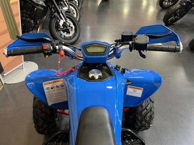2025 Denago Powersports Daytona 250 FI - Photo 7