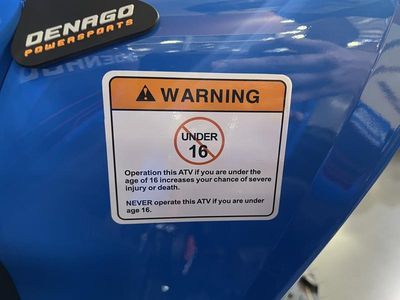 2025 Denago Powersports Daytona 250 FI - Photo 8