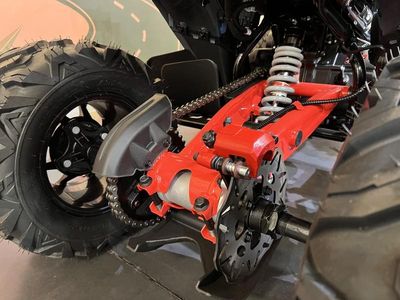 2025 Denago Powersports Daytona 250 FI - Photo 15