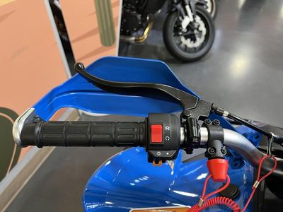 2025 Denago Powersports Daytona 250 FI - Photo 9