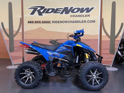 2025 Denago Powersports Daytona 250 FI - Photo 5