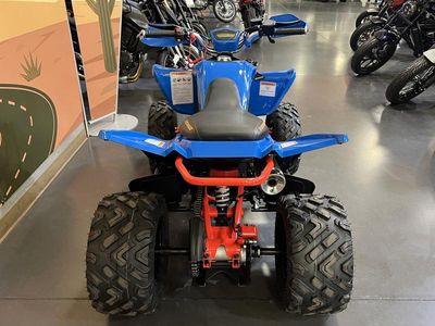 2025 Denago Powersports Daytona 250 FI - Photo 4