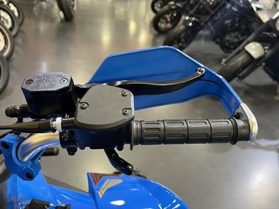 2025 Denago Powersports Daytona 250 FI - Photo 11