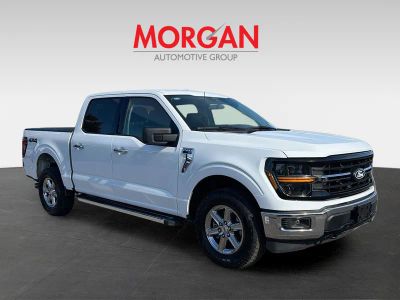 2025 Ford F-150 — side profile view