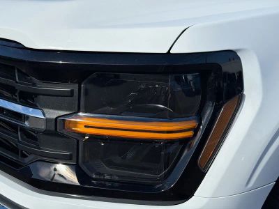 2025 Ford F-150 — photo 10 view