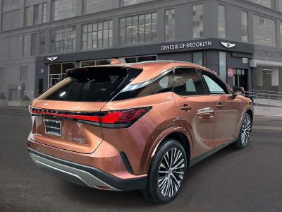 2023 Lexus RX — detail view