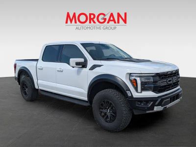 2024 Ford F-150 — side profile view