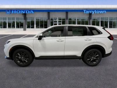 2026 Honda CR-V — side profile view