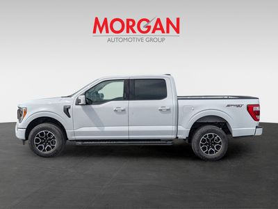2023 Ford F-150 — interior view