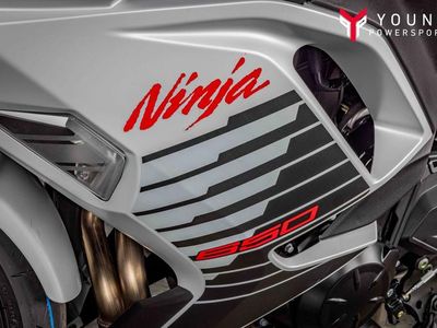2026 Kawasaki Ninja 650 ABS - Photo 20