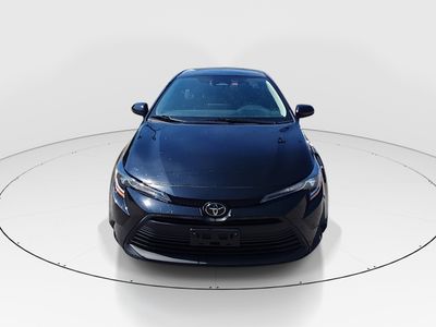 2024 Toyota Corolla - Photo 2