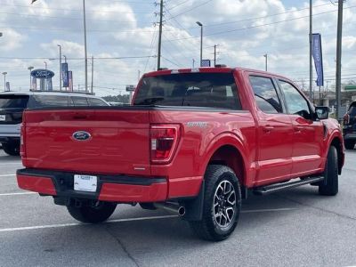2023 Ford F-150 - Photo 3