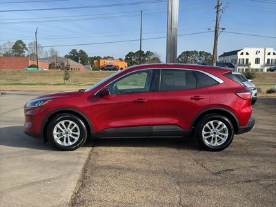 2020 Ford Escape - Photo 4