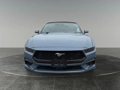 2025 Ford Mustang — side profile view