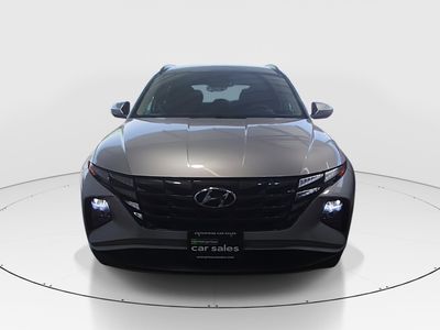 2024 Hyundai Tucson - Photo 2