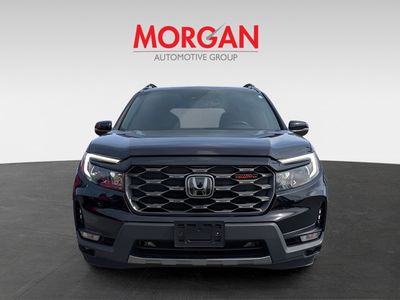 2026 Honda Pilot - Photo 7