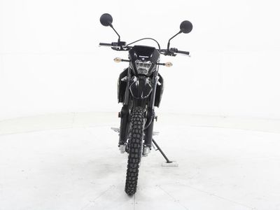 2026 Kawasaki KLX300 Cypher Camo Beige - Photo 3