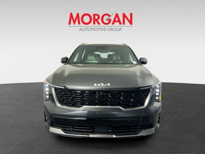 2026 Kia Sorento Hybrid — photo 10 view