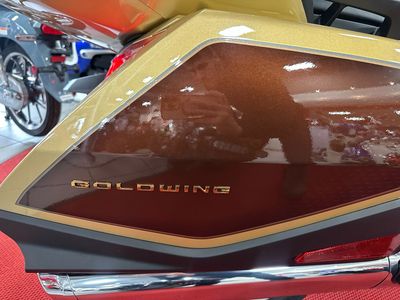 2025 Honda Gold Wing Tour DCT 50th Anniversary - Photo 19
