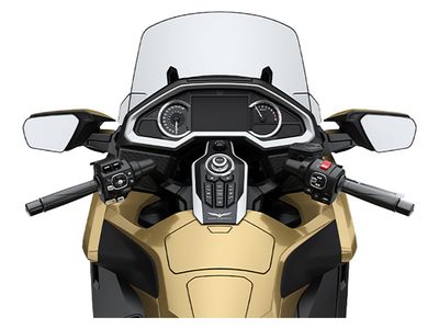 2025 Honda Gold Wing Tour DCT 50th Anniversary - Photo 29
