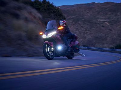 2025 Honda Gold Wing Tour DCT 50th Anniversary - Photo 39