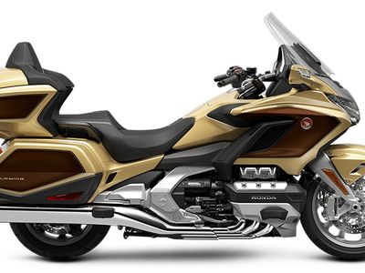 2025 Honda Gold Wing Tour DCT 50th Anniversary - Photo 20