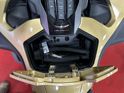 2025 Honda Gold Wing Tour DCT 50th Anniversary - Photo 13