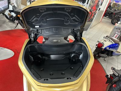 2025 Honda Gold Wing Tour DCT 50th Anniversary - Photo 12