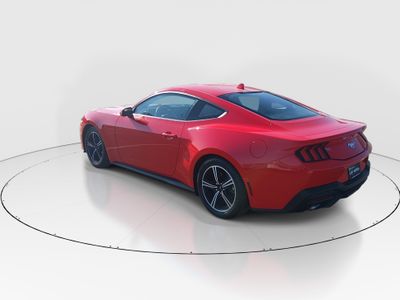 2024 Ford Mustang - Photo 5