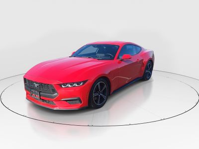 2024 Ford Mustang - Photo 3