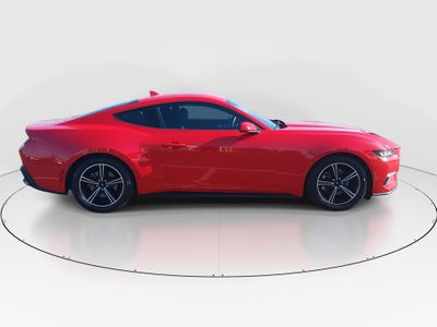 2024 Ford Mustang - Photo 8