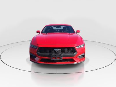 2024 Ford Mustang - Photo 2