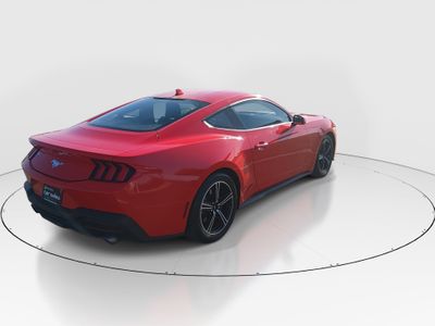 2024 Ford Mustang - Photo 7